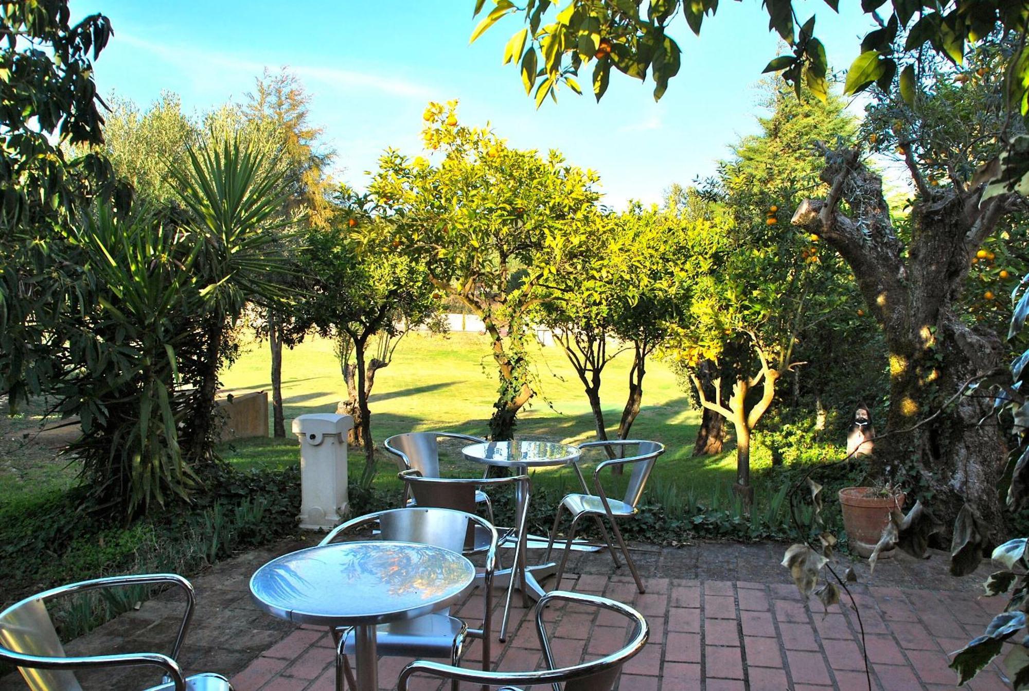 Hotel Quinta De Santa Barbara By Heavens Sleepy Constância Exterior foto